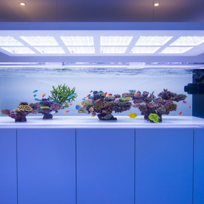 New Wave Aquarium Concepts | Florian Schuran e.K.