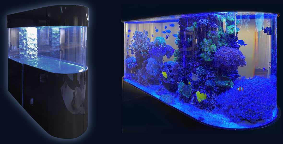 Sonder-Aquarienbau | New Wave Aquarium Concepts